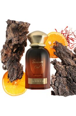 Summer oud - ahmed al maghribi